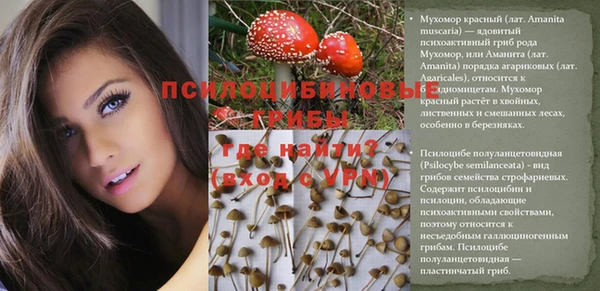 Альфа ПВП Балабаново